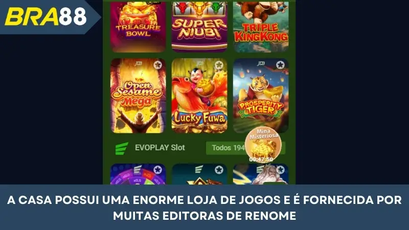 A casa possui um enorme armazém de jogos e é fornecida por muitas editoras respeitáveis
